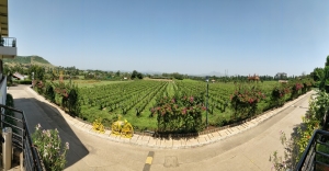 Top 15 Destination Wedding Venues in India