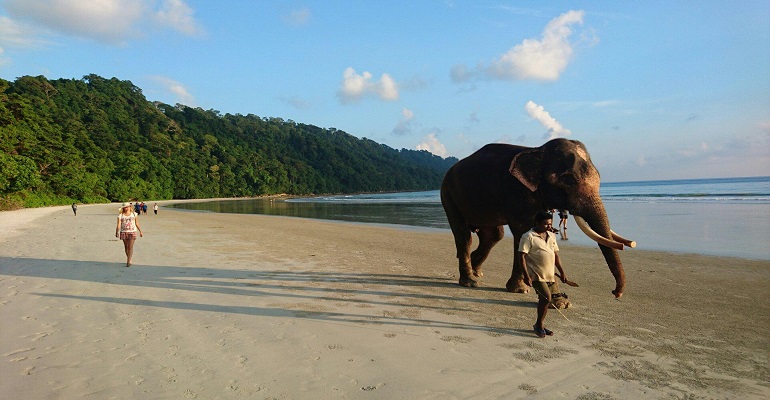 Most sought after locations to travel in India