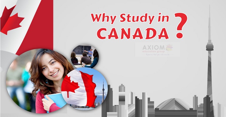 Wondering what to study in Canada? Here are your choices