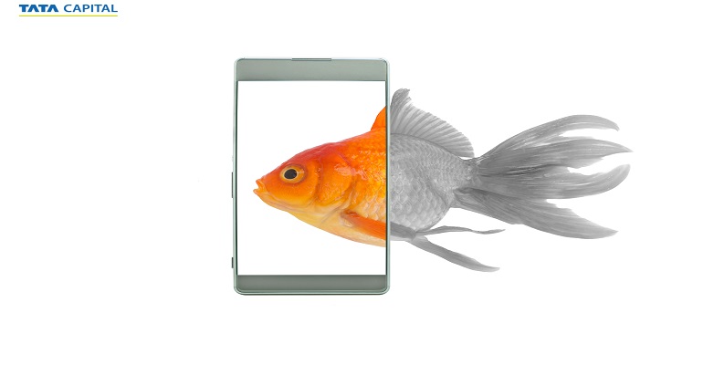 Capital Goods Loan Top 10 Phones With AMOLED Display Smartphones