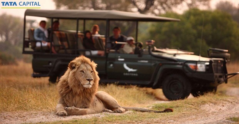 Top Travel Trends of 2020