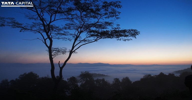 Do the Stormy Clouds of COVID-19 have a Silver Lining in a Post-pandemic World?