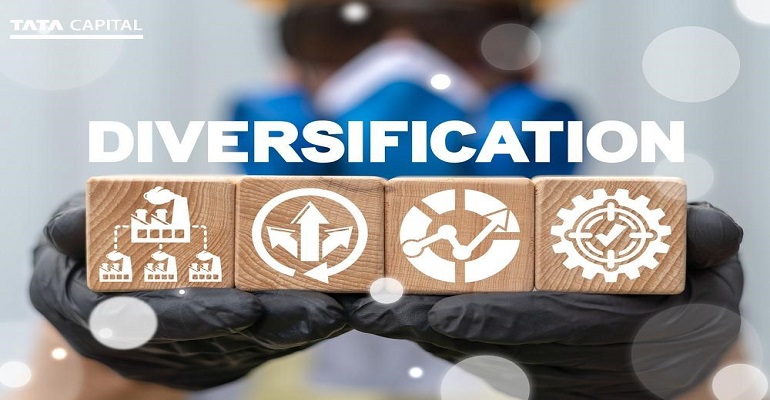 Portfolio Strategy for Long Term Investment: Concentration vs diversification