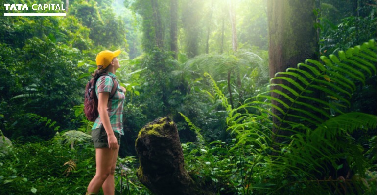 What is Ecotourism and Why is it important?