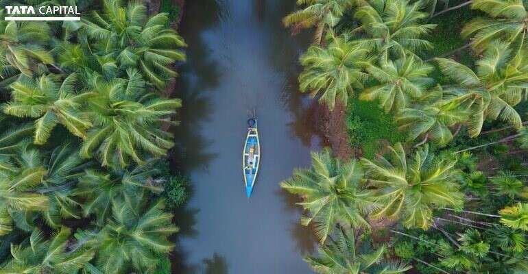 Best Honeymoon Places in Kerala