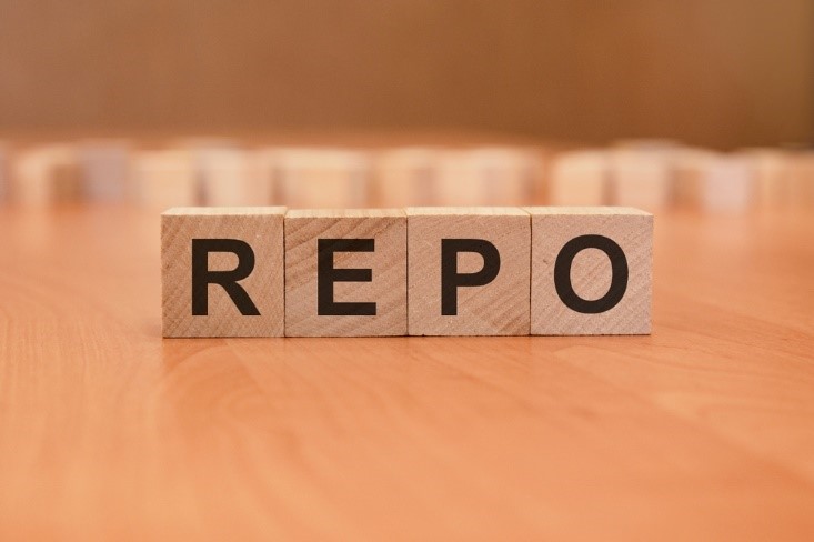 Know More About Hike In Repo Rates By RBI In Monetary Policy Meet Of June 2022