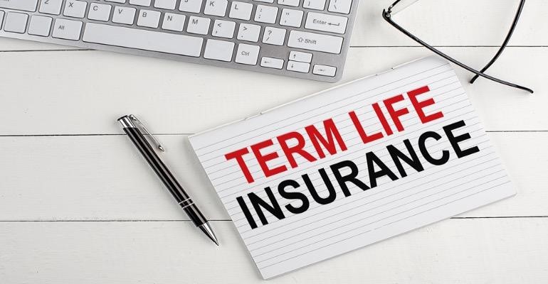 Insurance Navigating the World of Term Insurance: Meaning & Essential Information