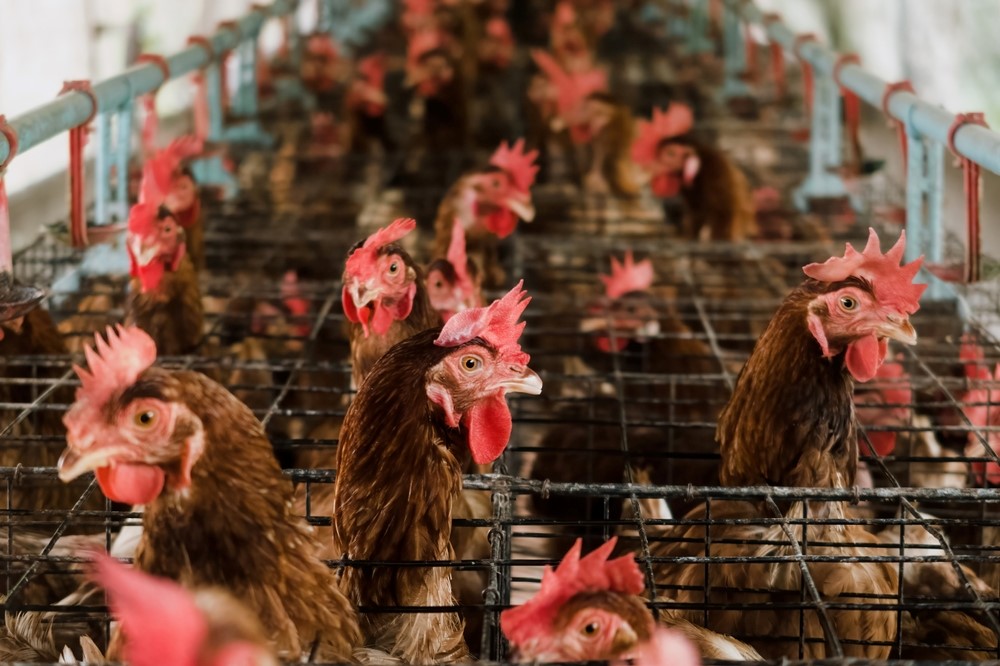 Loan for Business Exploring KFC Franchise Costs: Finger-Lickin’ Investment Opportunity