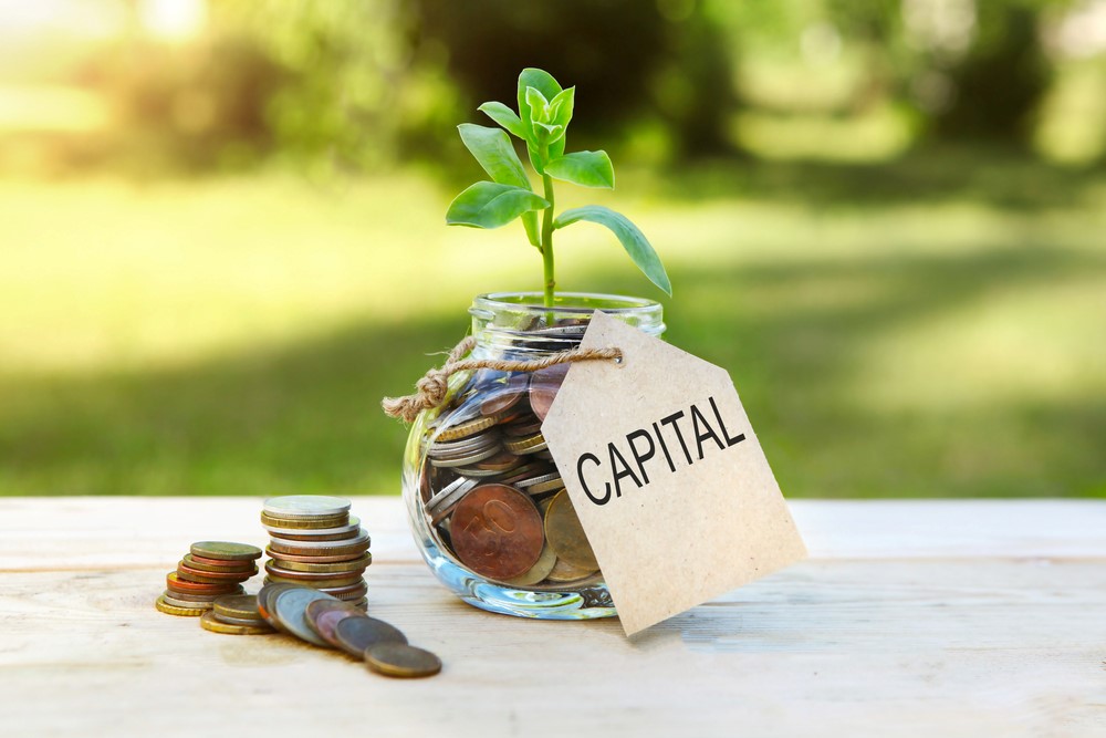 Loan for Business What Is Capital In Business: Understanding Its Workings, Types, and More