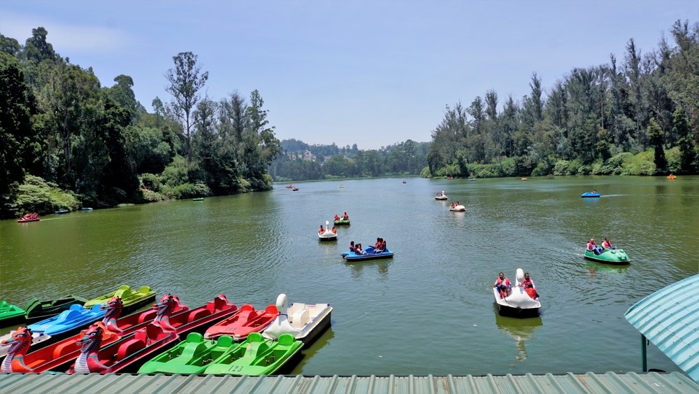 Top Things To Do In Ooty- Tourist Attractions In Ooty