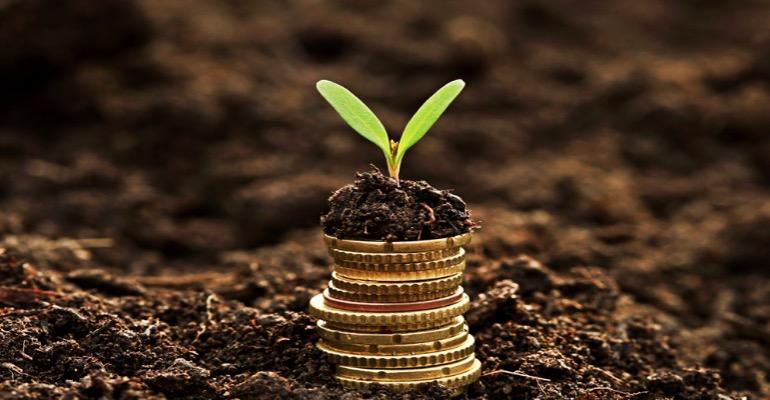 What is the Seed Money Scheme?
