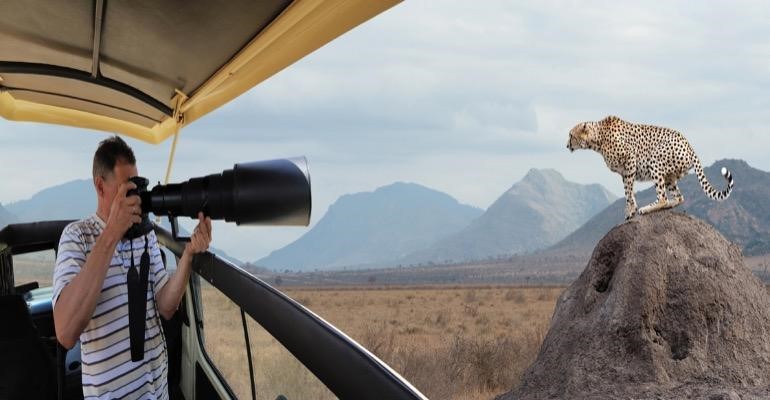 Getting Closer to Nature: Best Cameras for Wildlife Photography