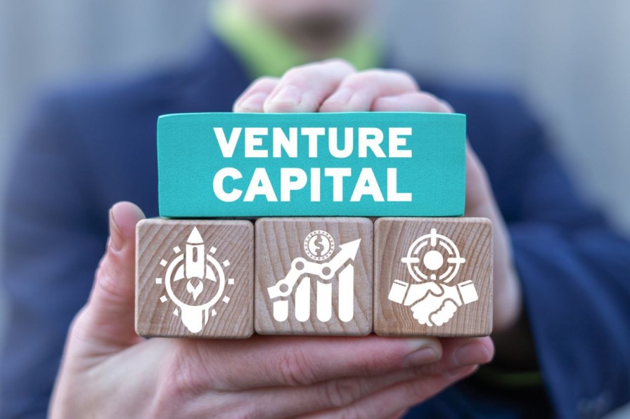 Venture Capital: What Is VC and How Does It Work?